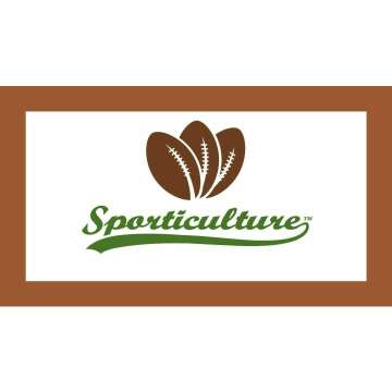 NFL Team Magma Lamp & Bluetooth Speaker - Seahawks