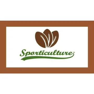 NFL Team Magma Lamp & Bluetooth Speaker - Seahawks