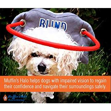 Muffin’s Halo® - Safe Navigation for Blind Dogs