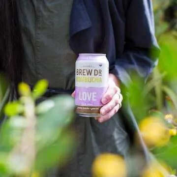 Brew Dr. Raw Kombucha Variety Pack - 4 Flavors in Cans