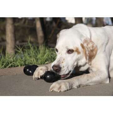 KONG - Extreme Goodie Bone - KONG's Most Durable Natural Rubber Dog Bone for Power Chewers - Black - For Large Dogs