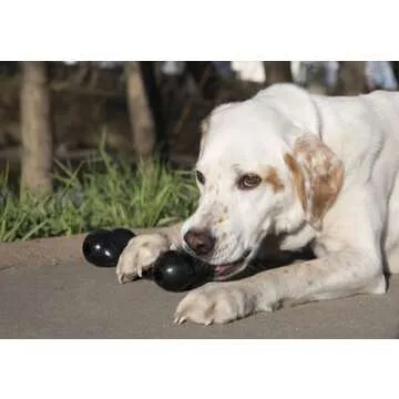 KONG Extreme Goodie Bone for Power Chewers - Black