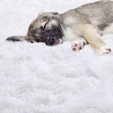 ONASAR Plush Round Rug for Kids Bedroom Cozy Home Decor