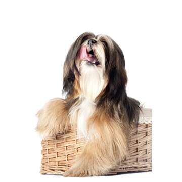 Wahl Pet Grooming Slicker Brush for Small Pets - 17 cm