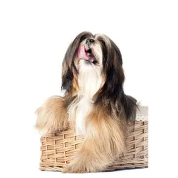 Wahl Pet Grooming Slicker Brush for Small Pets - 17 cm