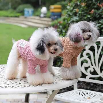 Warm Winter Turtleneck Dog Sweater for Small Pets
