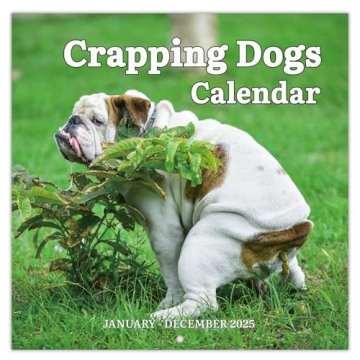 2025 Wall Calendar – 12 Monthly Pooping Dogs Calendar 2025, Funny Dog Calendar Gag Gifts, 11.8" x ...