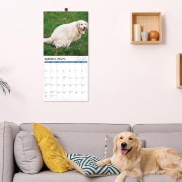 Hilarious 2025 Pooping Dogs Calendar - Perfect Gag Gift