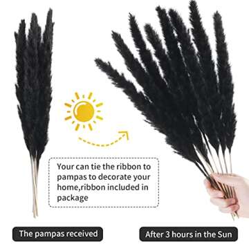 30Pcs Black Pampas Grass,17.5 inch Natural Dried Pampas Grass,Fluffy Stem Bouquet,Reed Grass for Hom...