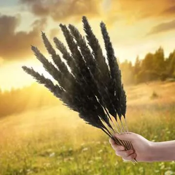 30Pcs Black Pampas Grass,17.5 inch Natural Dried Pampas Grass,Fluffy Stem Bouquet,Reed Grass for Home Decor Wedding Boho Decor Flower Arrangements,Shelf Decor,Balcony Decor