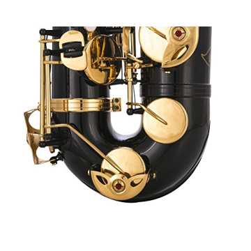 Glory Tenor Saxophone for Beginners Affordable Quality