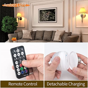 BLUEYE Rechargeable Light Bulbs 2 Pack with Remote 300LM