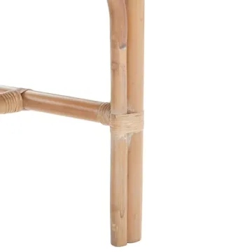 Safavieh Home Collection Donatella Wash Chair, Natural White