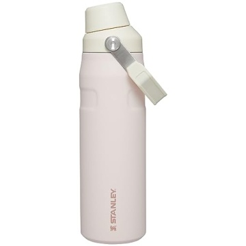 STANLEY IceFlow Fast Flow Water Bottle 24 OZ | Angled Spout Lid | Lightweight & Leakproof for Travel...