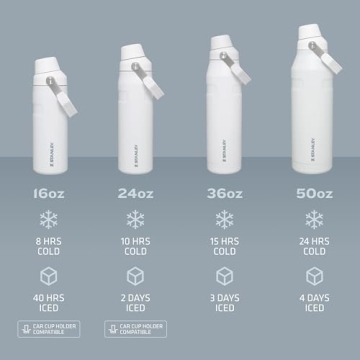 Stanley IceFlow Fast Flow Water Bottle - Lightweight & Insulated