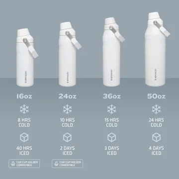 Stanley IceFlow Fast Flow Water Bottle - Lightweight & Insulated