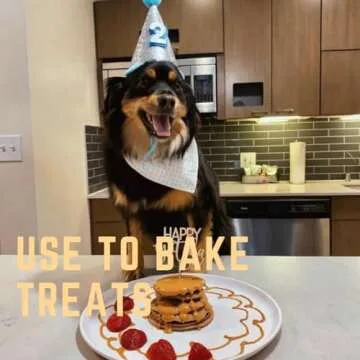 BUDDY BUDDER Bark Bistro Company Birthday Bash, 100% Natural Dog Peanut Butter, Healthy Peanut Butter Dog Treats, Dog Birthday, Dog Pill Pocket, Made in USA (17oz Jars)