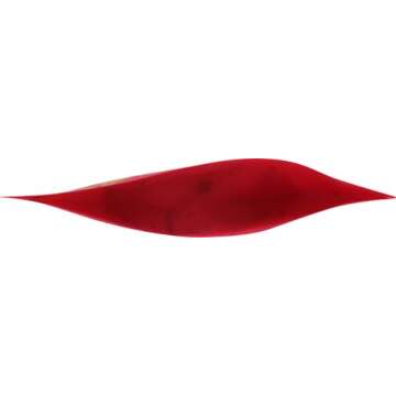 SOLELY Organic Dried Mango Strips Sweet and Spicy Snack