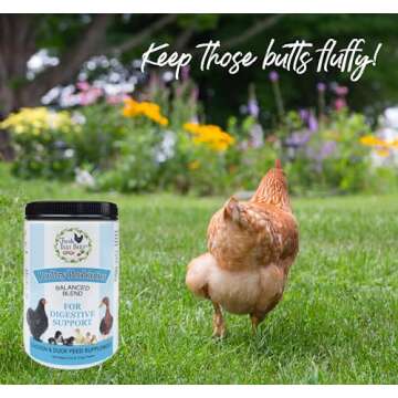 Fresh Eggs Daily Poultry Probiotics Feed Supplement Vitamins for Backyard Chickens and Ducks 1LB