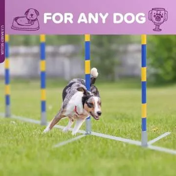 MiMu Dog Agility Set: Weaving Poles for All Breeds