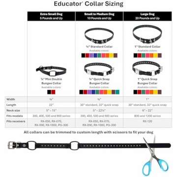 Educator Quick Snap Bungee Dog Collar, Biothane, Waterproof, Odorproof, Easy Connect and Disconnect Clasp and D Ring with Comfort Bungee Loop, Adjustable for Custom Fit, 3/4-Inch, Black