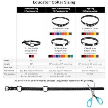 Educator Quick Snap Bungee Dog Collar, Biothane, Waterproof, Odorproof, Easy Connect and Disconnect Clasp and D Ring with Comfort Bungee Loop, Adjustable for Custom Fit, 3/4-Inch, Black