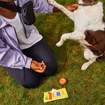 Wet Ones Antibacterial Hand Wipes, Tropical Splash - 20 ct. Size Wipes (10 Pack)