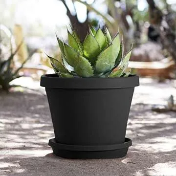 Bloem Terra Pot Round Planter: 16" - Black - Matte Finish, Durable Resin, Traditional Style Pot, for Indoor and Outdoor Use, Gardening, 8 Gallon Capacity, Saucer Not Included