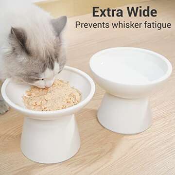 CEEFU 2 Extra Wide Raised Cat Food Bowl, Elevated Cat Bowls Anti-Vomiting Cat Feeder Whisker Stress-...