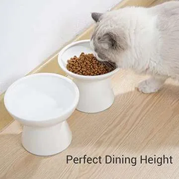 CEEFU 2 Extra Wide Raised Cat Food Bowl, Elevated Cat Bowls Anti-Vomiting Cat Feeder Whisker Stress-Free, Two Different Depth Bowls Ceramic Cat Dog Feeding Bowls, White