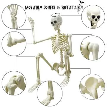 LUKBERA Halloween Skeleton Set - 5.4FT Human & Dog Decor