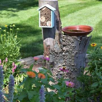 Nature's Way Bee House for Effective Pollination