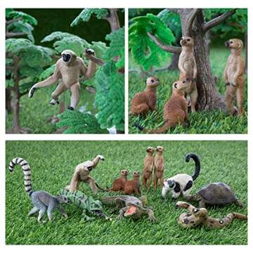 Toymany 11PCS Madagascar Jungle Animals Figurines Toy with Meerkat Lemur Chameleon Crocodile-Jungle Forest Zoo Animal Figures Set, Christmas Birthday Gift Party Favor School Project for Kids Toddlers