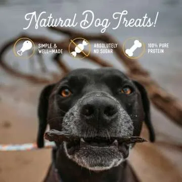 Premium Grain-Free Beef Liver Dog Treats Made in the USA
