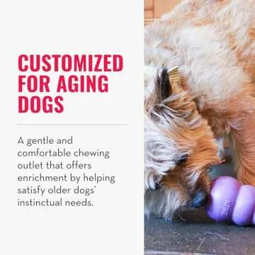 KONG Senior - Dog Toy with Gentle, Natural Rubber - Durable Dog Toy for Older Dogs - Use Treats with...