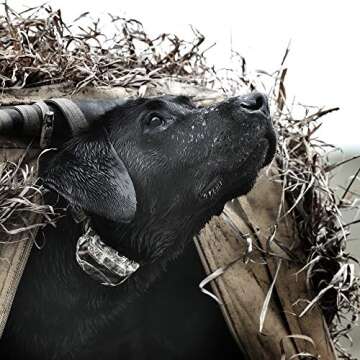 SportDOG WetlandHunter 425X Collar - Waterproof & Rechargeable
