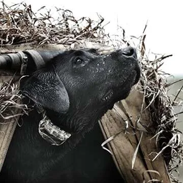 SportDOG WetlandHunter 425X Collar - Waterproof & Rechargeable