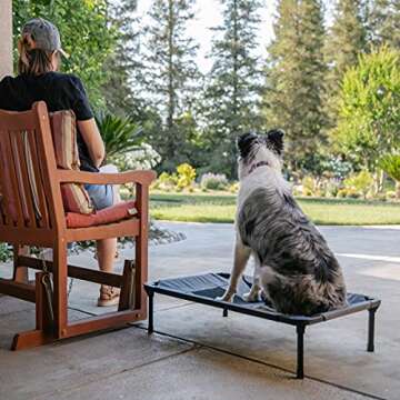 Lucky Dog 36'' Elevated Pet Bed Cot for Home & Outdoors