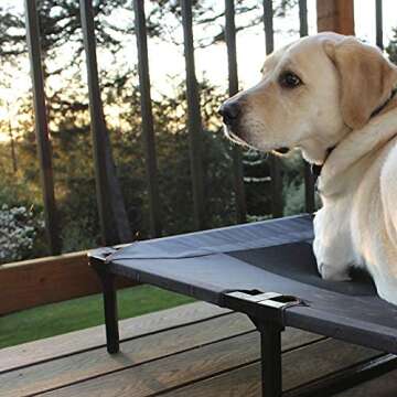 Lucky Dog 36'' Elevated Pet Bed Cot for Home & Outdoors