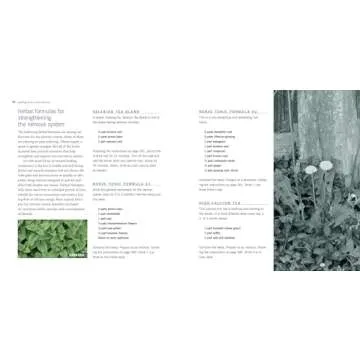 Natural Remedies Guide for Family Wellness | Herbal Book