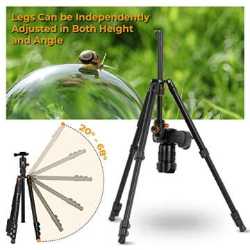 TARION Camera Tripod Monopod 61in with Panorama Ball Head Aluminium Travel Tripod for DSLR Mirrorless Cameras Support Macro Shots Counter Weight 13lb Payload Lightweight 16.9" Foldable Size Q550