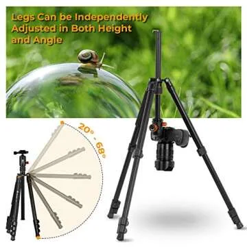 TARION Camera Tripod Monopod 61in with Panorama Ball Head Aluminium Travel Tripod for DSLR Mirrorless Cameras Support Macro Shots Counter Weight 13lb Payload Lightweight 16.9" Foldable Size Q550