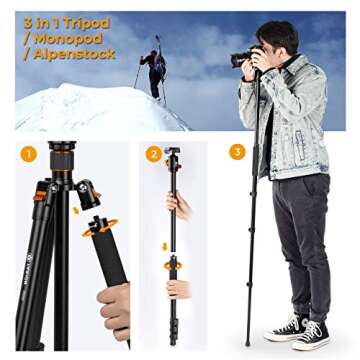 TARION Camera Tripod Monopod 61in with Panorama Ball Head Aluminium Travel Tripod for DSLR Mirrorless Cameras Support Macro Shots Counter Weight 13lb Payload Lightweight 16.9" Foldable Size Q550