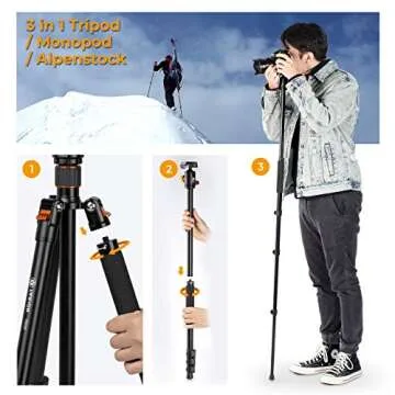 TARION Camera Tripod Monopod 61in with Panorama Ball Head Aluminium Travel Tripod for DSLR Mirrorless Cameras Support Macro Shots Counter Weight 13lb Payload Lightweight 16.9" Foldable Size Q550