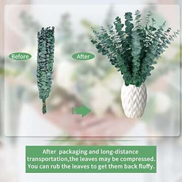 12PCS Dried Eucalyptus Bundle ,17'' Real Eucalyptus Stems - 100 % Natural Fresh Eucalyptus Leaves Greenery Stems for Shower Home Decor Flower Arrangement Wedding