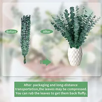 12PCS Dried Eucalyptus Bundle ,17'' Real Eucalyptus Stems - 100 % Natural Fresh Eucalyptus Leaves Greenery Stems for Shower Home Decor Flower Arrangement Wedding