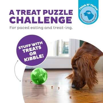 Outward Hound by Planet Dog Mazee Puzzle Ball Interactive Treat Dispensing Dog Toy, Green