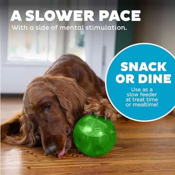 Outward Hound by Planet Dog Mazee Puzzle Ball Interactive Treat Dispensing Dog Toy, Green