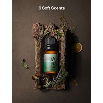 Essential Oils, Top 6*10ml Essential Oil Set, Pure Aromatherapy Oils Kit, Lavender, Eucalyptus, Peppermint, Tea Tree, Lemongrass, Sweet Orange Skin & Hair Care, Essential Oils for Diffusers for Home