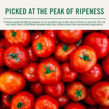 Del Monte Canned Tomato Sauce, 8 oz (Pack of 48 Cans)